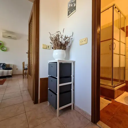 House 333 Apartment Pavicini